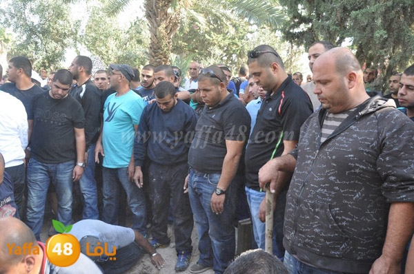 Janza yosef 3obra (4).JPG